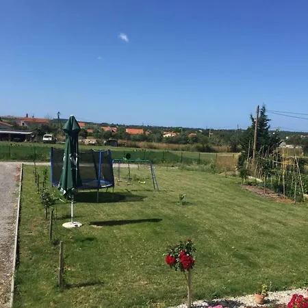 Brno بولا