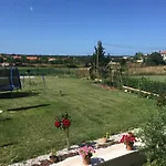 Brno * Πούλα
